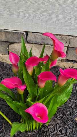 2531 HERMITAGE RD, Waynesboro, VA 22980