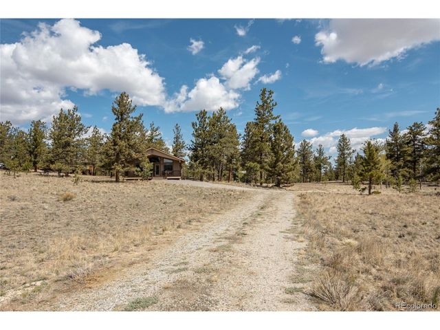 75 Whip Way, Hartsel, CO 80449