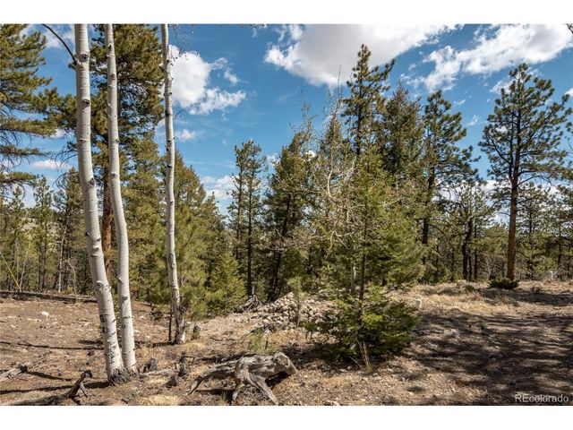 75 Whip Way, Hartsel, CO 80449