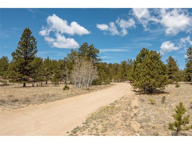 75 Whip Way, Hartsel, CO 80449