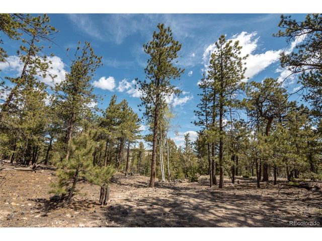 75 Whip Way, Hartsel, CO 80449