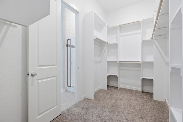 6711 Calabria DR, Round Rock, TX 78665