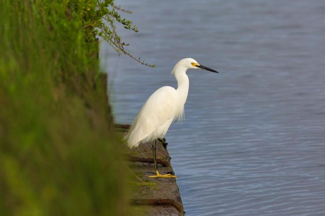 1838 Hall Avenue, Sargent, TX 77414