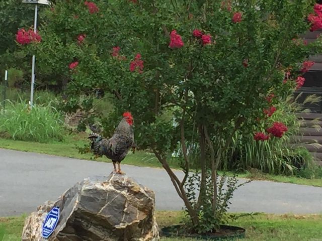 280 Brookhill Ranch Road, Hot Springs, AR 71909