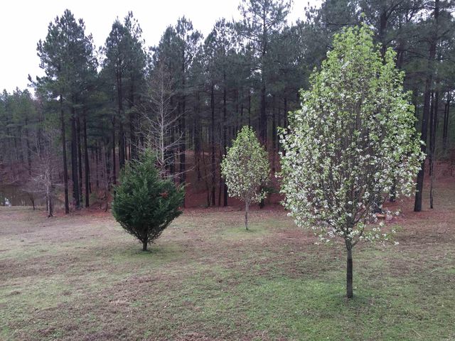 280 Brookhill Ranch Road, Hot Springs, AR 71909