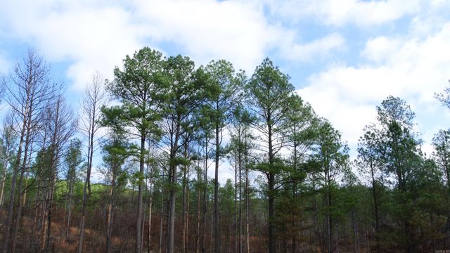 280 Brookhill Ranch Road, Hot Springs, AR 71909