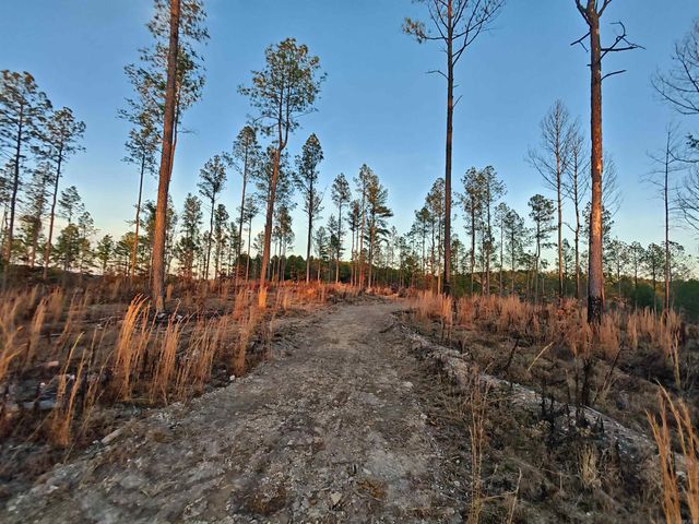 280 Brookhill Ranch Road, Hot Springs, AR 71909