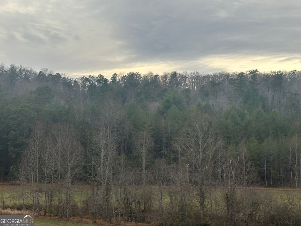 168 Warren Road, Blairsville, GA 30512