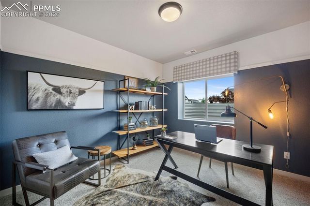 9996 Antelope Ravine Drive, Colorado Springs, CO 80908