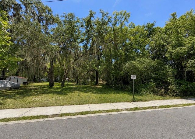 711 PINE, Mount Dora, FL 32757