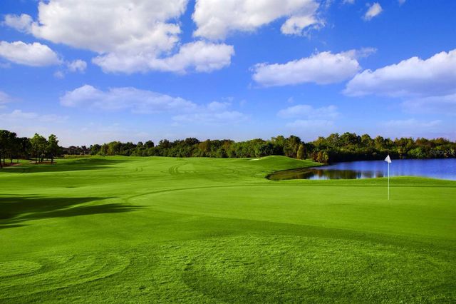 1435 EMERALD DUNES DRIVE, Sun City Center, FL 33573