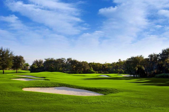 1435 EMERALD DUNES DRIVE, Sun City Center, FL 33573