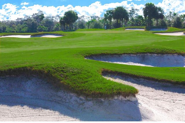 1435 EMERALD DUNES DRIVE, Sun City Center, FL 33573