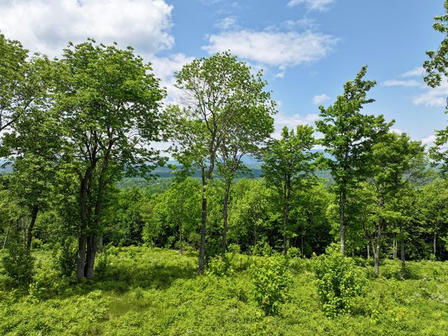 733 Ore Bed Rd, Black Brook, NY 12912