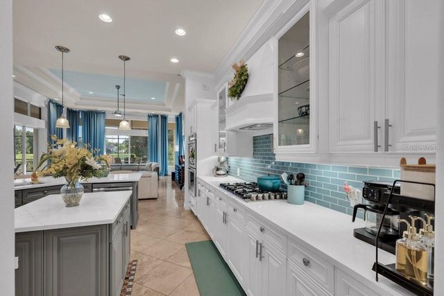 6217 KINGBIRD MANOR DRIVE, Lithia, FL 33547