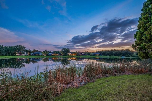 6217 KINGBIRD MANOR DRIVE, Lithia, FL 33547