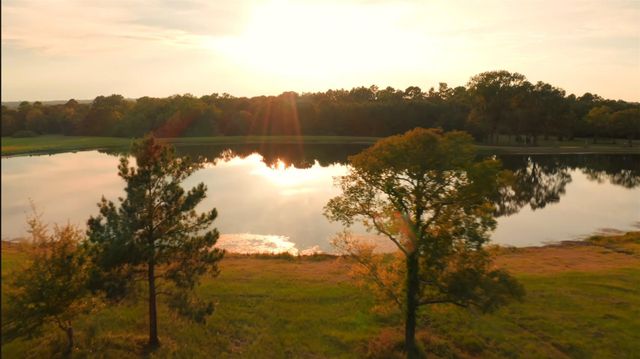 15261 Forest Grove Drive, Willis, TX 77378