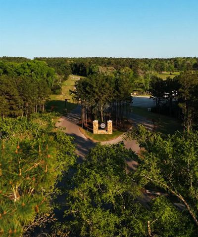 15261 Forest Grove Drive, Willis, TX 77378