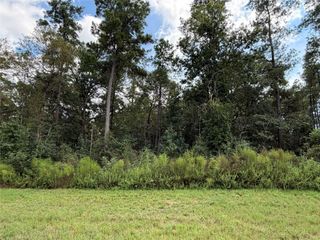 15261 Forest Grove Drive, Willis, TX 77378