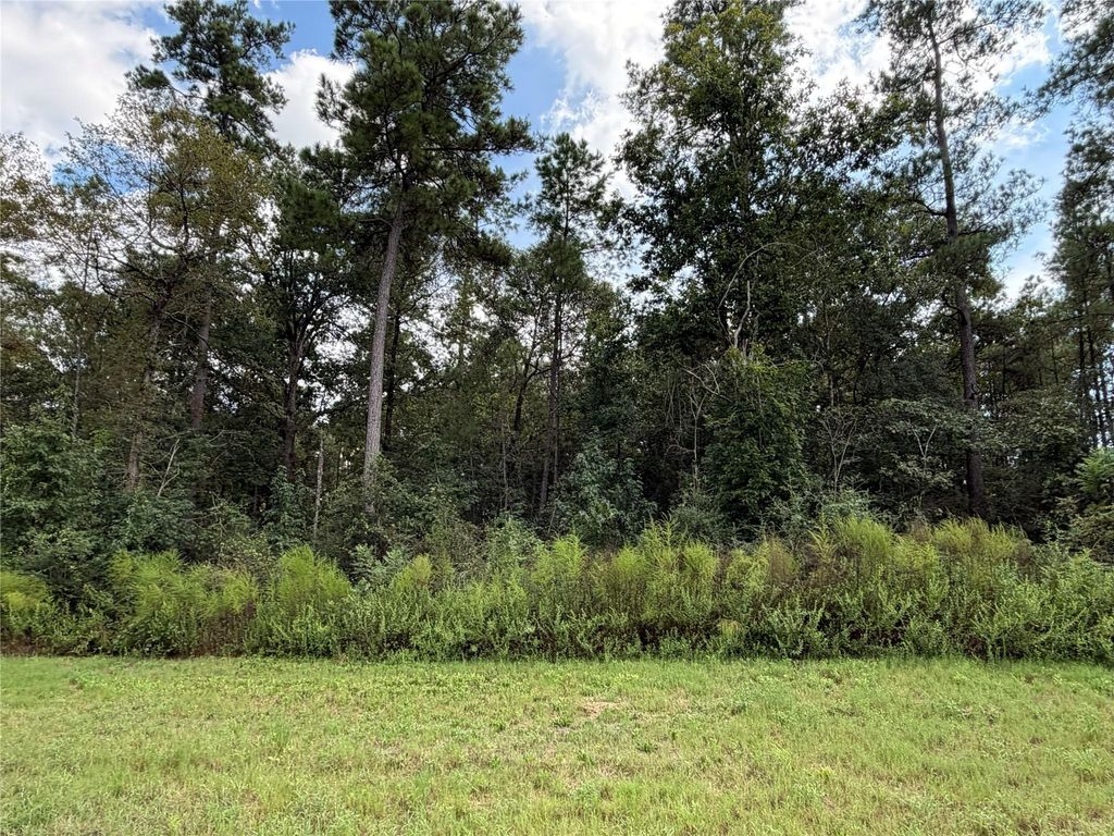 15261 Forest Grove Drive, Willis, TX 77378