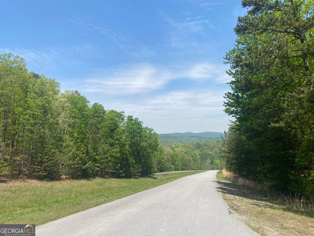 133 Lakeview Walk, Baldwin, GA 30511 — exterior