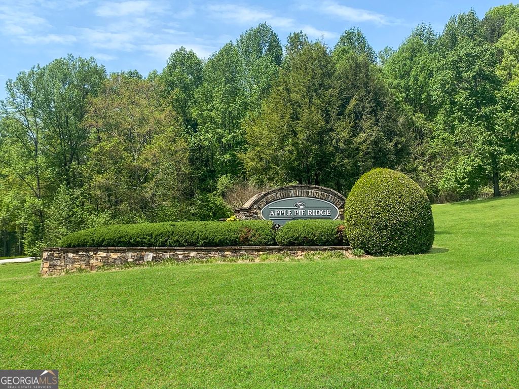 133 Lakeview Walk, Baldwin, GA 30511 — photo 2