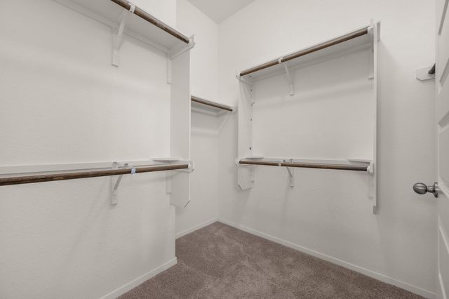 105 Tranchet DR, Georgetown, TX 78626