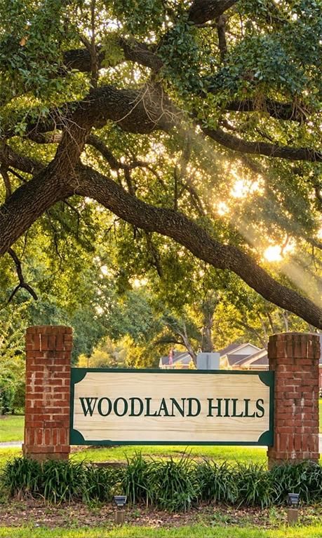 7810 Woodland Hills Drive, Semmes, AL 36575 — photo 4