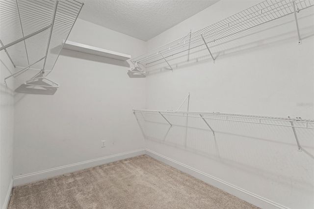 4915 TROYDALE ROAD, Tampa, FL 33615