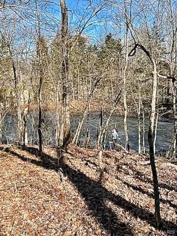 21805 Revere Lane, Waynesville, MO 65583