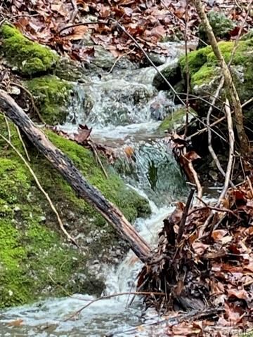 21805 Revere Lane, Waynesville, MO 65583