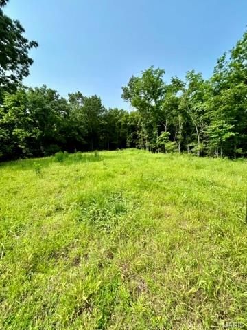 21805 Revere Lane, Waynesville, MO 65583