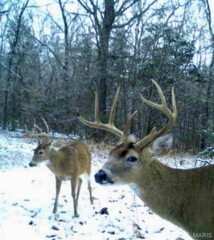 21805 Revere Lane, Waynesville, MO 65583