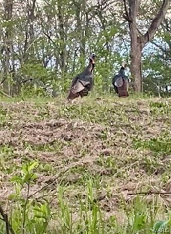 21805 Revere Lane, Waynesville, MO 65583