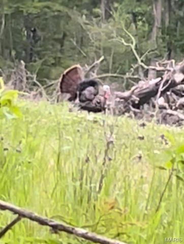 21805 Revere Lane, Waynesville, MO 65583