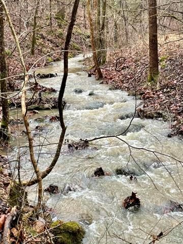 21805 Revere Lane, Waynesville, MO 65583