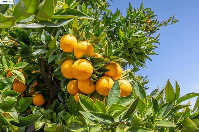 29341 Sandburg Way, Hayward, CA 94544