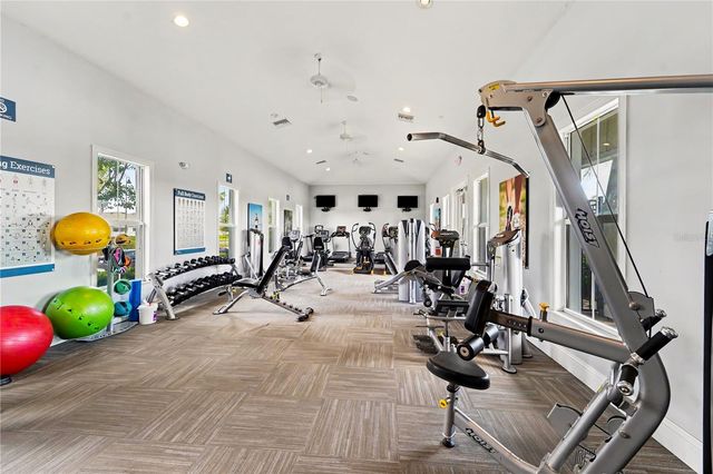 3446 SUNCOAST PLAINS DRIVE, Odessa, FL 33556
