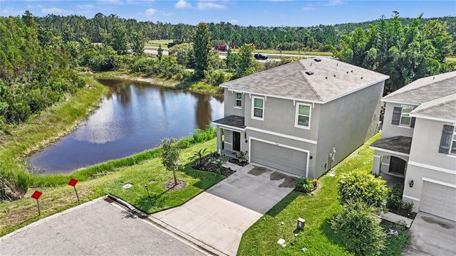 3446 SUNCOAST PLAINS DRIVE, Odessa, FL 33556