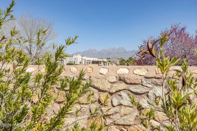 4231 Venetian Loop, Las Cruces, NM 88011