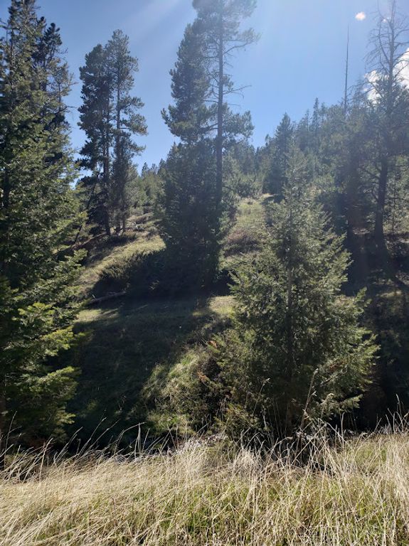 NHN Spencer, White Sulphur Springs, MT 59645 photo 3