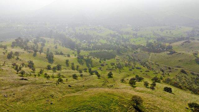 31898 Success Valley Drive Drive, Porterville, CA 93257