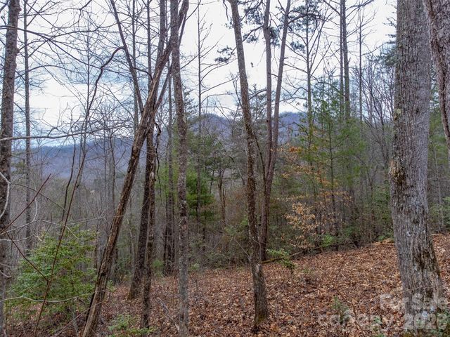 201 Woodhaven Estates, Sylva, NC 28779