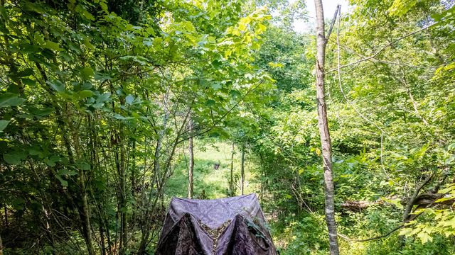 10254 Stella Way, Birch Tree, MO 65438