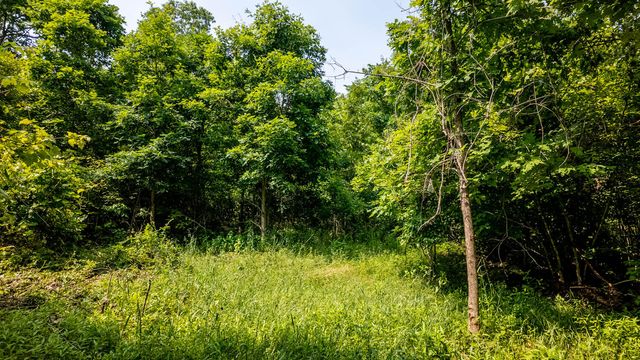 10254 Stella Way, Birch Tree, MO 65438