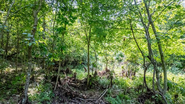 10254 Stella Way, Birch Tree, MO 65438