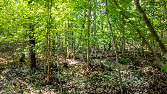 10254 Stella Way, Birch Tree, MO 65438