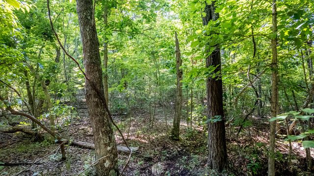 10254 Stella Way, Birch Tree, MO 65438