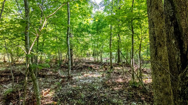 10254 Stella Way, Birch Tree, MO 65438