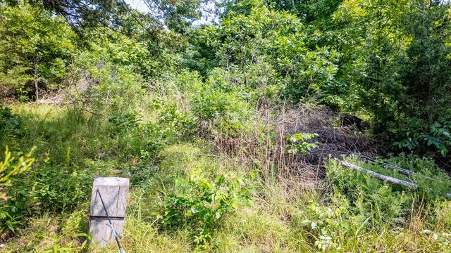 10254 Stella Way, Birch Tree, MO 65438